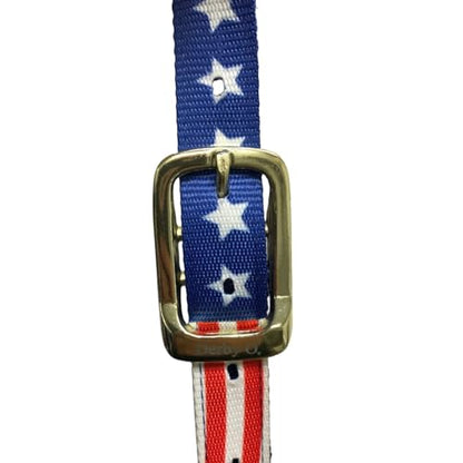 Derby Originals Patriotic Nylon Horse Halter with Matching 10ft Cotton Lead