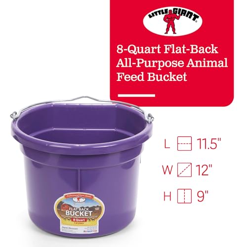 Little Giant P8FBPURPLE 2 Gallon All Purpose Heavy Duty Farm Flat Back Plastic Buckets for Supplies, Toys, Laundry, and Water, Purple, (4 Pack)