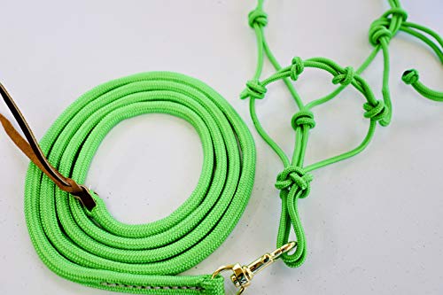 Mini-Pony 4 Knotted Rope Halter & 8' Lead Set (Lime, Medium 32-36" Mini) - color: Lime, size: Medium 32-36" Mini