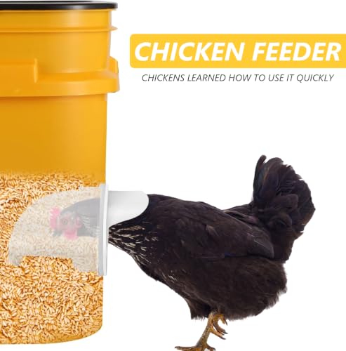 MAFONE DIY Chicken Feeder No Waste,Mess Cups Kit