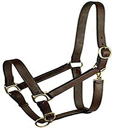 Gatsby Leather Company 282995 Stable Halter with Snap Havanna Brown, Large Horse