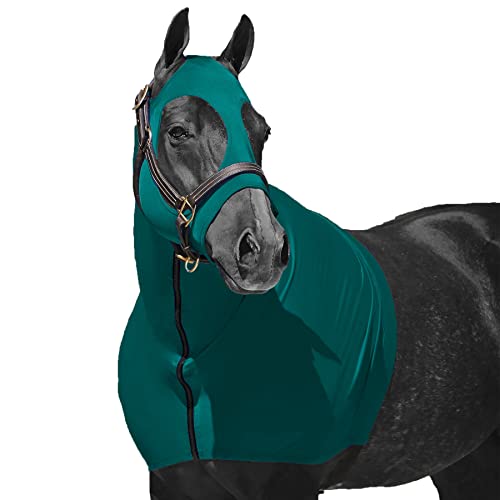 Resistance Horse Hood Slinky Lycra Zippered Mane Braid Shoulder Guard - Horse Sleazy Slickers Care Sheet - color: Teal, size: X-Small