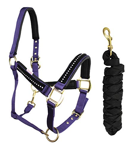 Nylon Horse Neoprene Padded Pink Halter Brass Hardware w/Rhinestones 606172PR - color: Purple