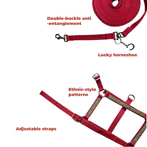 2PCS Adjustable Horse Halter&Horse Training Lunge LINE Double-Buckle Anti-Entanglement Soft BUT Firm Used for Equestrian Training and Training