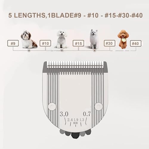 5 in 1 Blades Adjustable Dog Grooming Replacement Blades | Compatible with Wahl Animal Clipper Arco, Bravura, Chromado, Creativa, Figura, and Motion Pet, Dog, and Horse (Silver/2PC) - color: Silver-2Pack