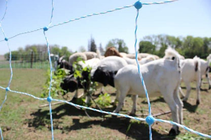 Premium Electric Sheep & Goat Netting Kit- AC Energizer (9/35/8) for Backyards, Homesteaders, and Livestock Owners