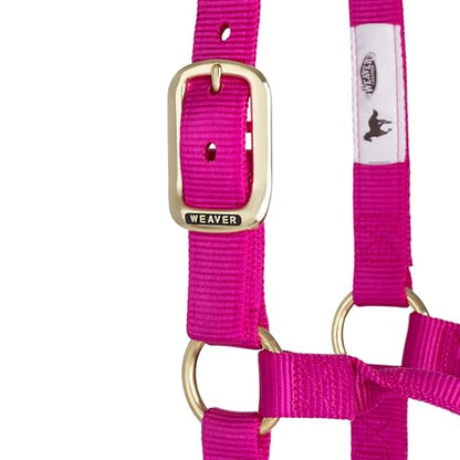 Weaver Leather Original Non-Adjustable Nylon Horse Halter