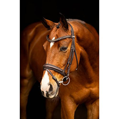 LeMieux Arika Dressage Bridle - color: Brown/Silver, size: X-Full