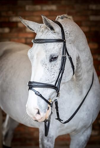 LeMieux Kudos Competition Flash Bridle - color: Black, size: Full