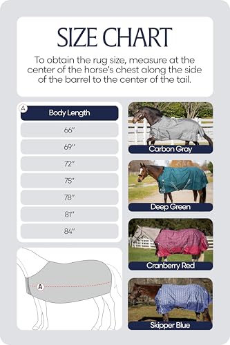 Equinavia Arktis Regular Neck Turnout Sheet - Deep Green - 72 in - color: Deep Green, size: 72 in