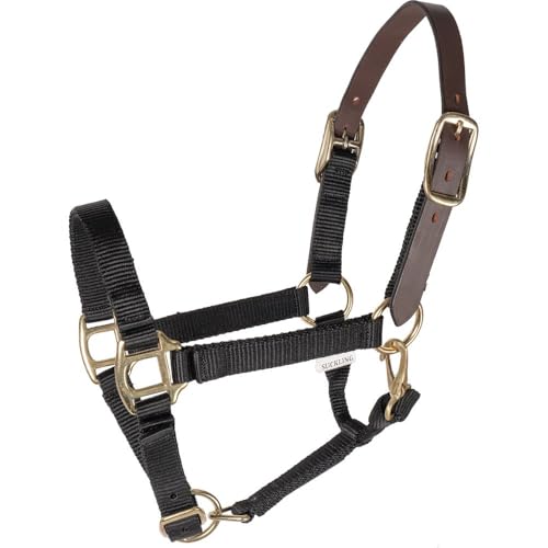 Schneiders Nylon Breakaway Foal Halter for Horses | Adjustable & Safe | Durable Nylon with Breakaway Crown for Growing Foals | Color Black