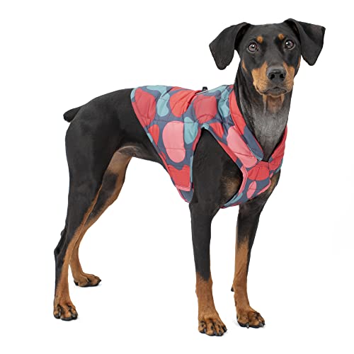 Kurgo Loft Jacket, Lava Lamp, Small - color: Lava Lamp, size: Small