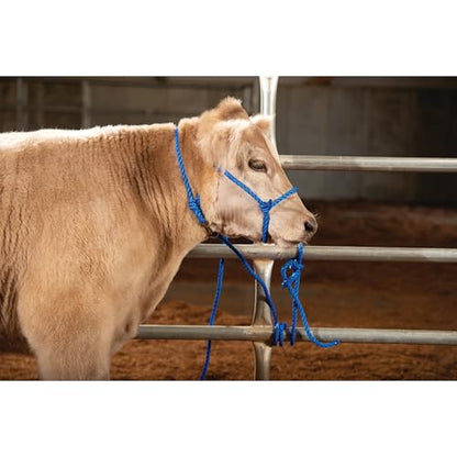 Weaver Livestock Adjustable Poly Neck Rope Cattle Halter, Modern Style Tying Cow Calf Halter, Livestock Handling Equipment for Showing, Blue - color: Blue