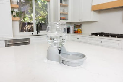 Petmate Aspen Pet Lebistro Water Dispenser for Cats and Dogs, 1 Gal Size