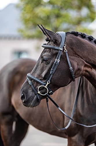 LeMieux Kudos Work Bridle - color: Black, size: Full