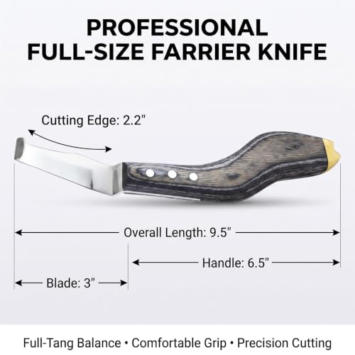 Premium Hoof Knife with Brass End, Stainless Steel