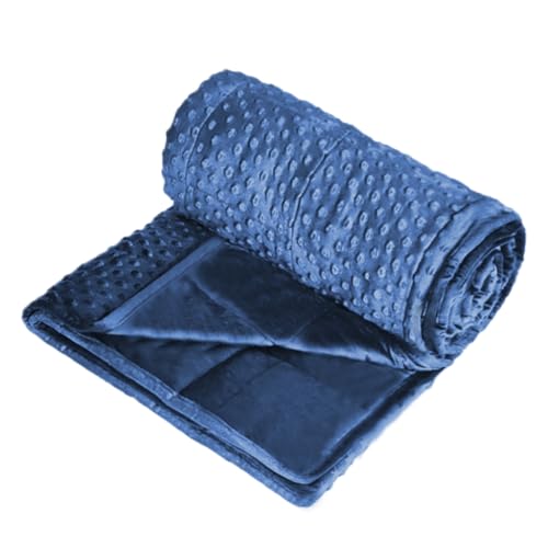 ALANSMA Reversible Weighted Blanket for All Season, Luxury Velvet, Warm and Cool, Adult 20Lb Blue Weighted Blanket, Enjoy Sleeping Anywhere(Blue,60"x80" 20lbs) - color: Blue, size: 60''x80'' 20lbs