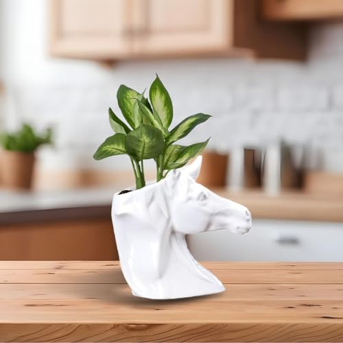 Cute Ceramic Succulent Horse's Head Garden Pots w/Pottery Quality Finish, Cute Planting Pot, Indoor Plant Pot for Flowers & Herbs，Home Desktop Office Windowsill Decoration Gift. (White) - color: White