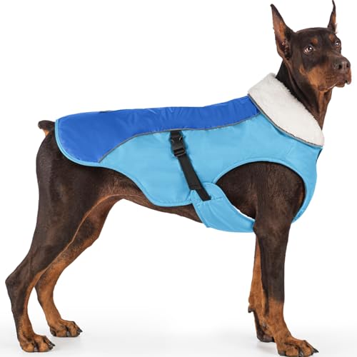 EMUST Dog Jacket, Windproof Polyester, Warm Fleece Lined, Reflective, New Blue, S - color: New Blue, size: Small