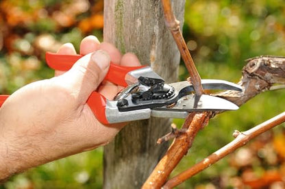 Felco F8 Pruning Shears – 8.3" Swiss-Made Garden Clippers with 1" Cutting Capacity for Ergonomic Comfort | Hand Pruners for Gardening | Garden Tool Cutter with Precision Bypass Blade, Aluminum Handles - size: F8 Large Ergo