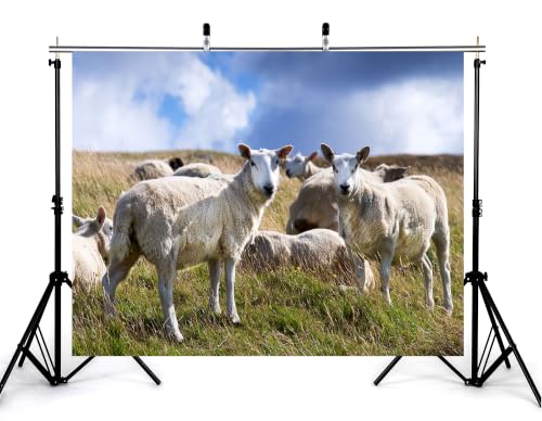 5x4ft Fabric White Wool Sheep Backdrop Flock Grazing Dry Grass Hill Fluffy Cloud Bright Blue Sky Farm Background Tapestry Pasture Animal Decorations Photo Booth Props - size: 5x4ft