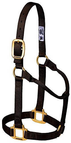 Weaver Leather Original Non-Adjustable Nylon Horse Halter