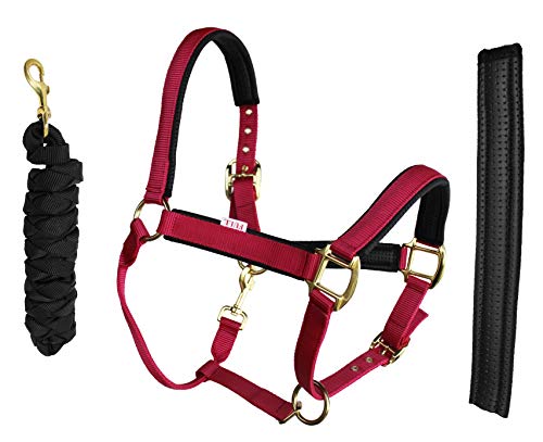 Nylon Horse Neoprene Padded Halter Brass Hardware Horse Tack Equine 606173 - color: Pink