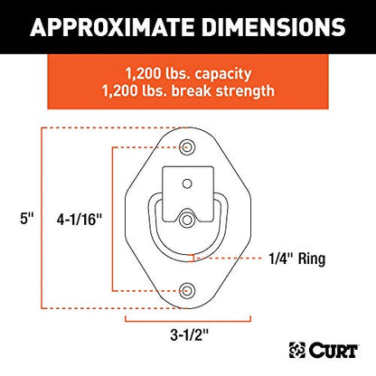 CURT 83601 1-3/8 x 1-7/8-Inch Recessed Trailer Rope Ring Tie Down Anchor, 1,200 lbs Capacity - size: 1 Count (Pack of 1)