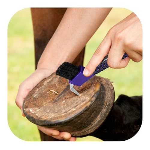 Purple Horse Hoof Pick Brush, Soft Grip Handle with Stiff Bristles for Effective Hoof Cleaning Portable Grooming Tool - color: Purple