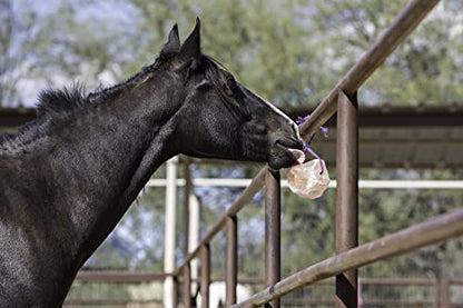 Horsemen's Pride Himalayan Salt Block on Rope for Horses, 4.4 Pounds, SS44 (Pack of 2)