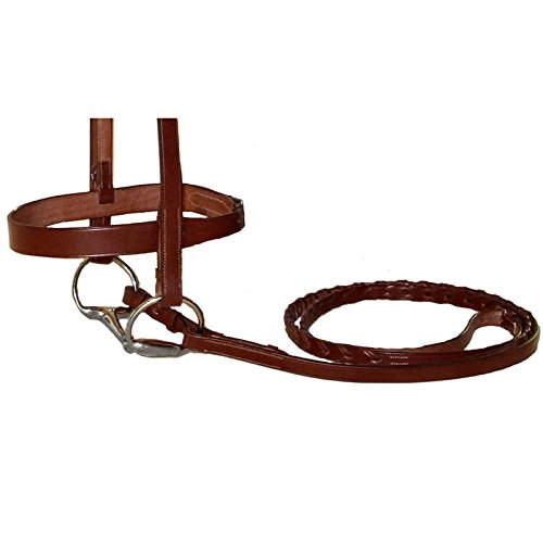 Classic Flat Leather English Hunt Bridle with 3/4" Wide Laced Reins, Stainless Steel Hardware, Heavy Duty. - color: Havana