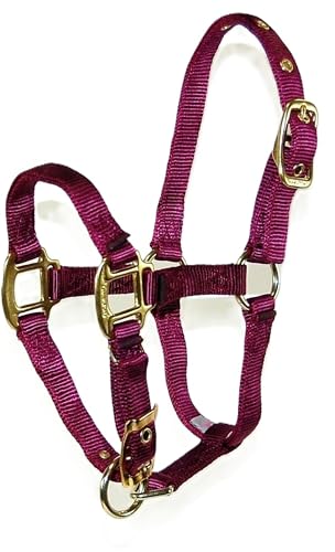 Hamilton Deluxe Adjustable Horse Halter, 100-200 lbs, Wine - color: Wine, size: Foal, 100-200lbs