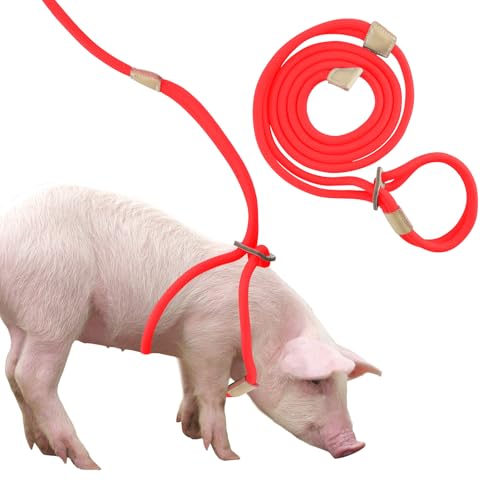 Mini Pig Harness & Leash, Adjustable 8 Feet Long Rope for Small to Medium Pet Pigs - color: Red