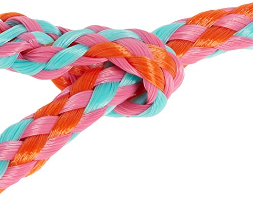 Weaver Leather Poly Rope Sheep Halter Bundle (Blue/Black/Gray and Hot Pink/Coral/Mint)