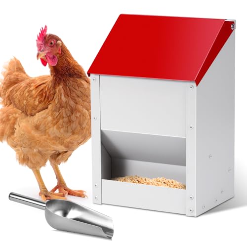 Automatic Chicken Feeder 10lb Hanging Feeder Trough with Scoop | Wall Mounted Poultry Feeder Trough, Galvanized Metal Gravity Chicken Feeder, for Chickens Ducks Goose Poultry