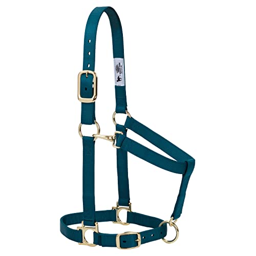 Weaver Leather Basic Adjustable Chin and Throat Snap Halter - color: Teal Green, size: 1" Average Horse