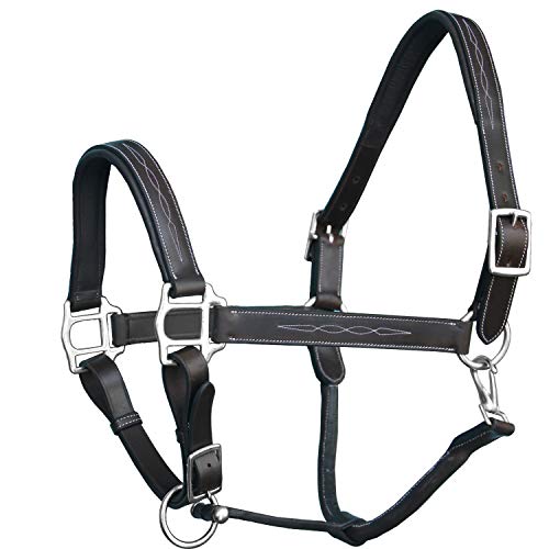 Exion Designer Stitched Padded Cushioned Horse Halter- Silver Hardware | Adjustable Chin and Throat Snap Halter | Replaceable Crownpiece Halter | Quick Release | Black, Havana Brown | Over, Full - color: Havana (Choco Brown), size: Warm Blood (Over Size)