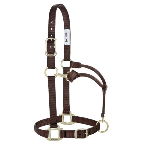 Weaver Leather Original Adjustable Nylon Horse Halter, Large Horse, Brown