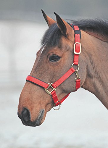 Shires Topaz Leather Breakaway Nylon Headcollar - color: Red, size: X-Small Pony