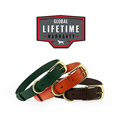 Tuff Pupper Heavy Duty Waterproof Dog Collar for Small, Medium & Large Dogs - color: Forest Green