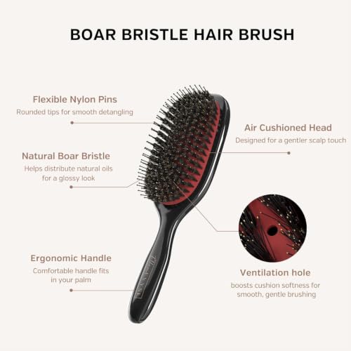 Boar Bristle Hair Brush, Soft Boar Bristles for Detangling, Enhancing Shine