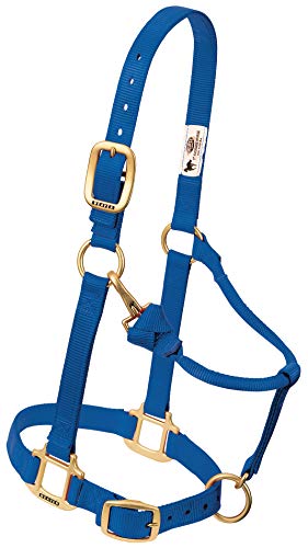 Weaver Leather Original Adjustable Nylon Horse Halter, Blue, Arabian/Cob