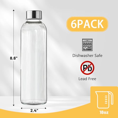 Ribbed Glass Water Bottles with Lids, 18 oz Reusable Juice Bottles with Stainless Steel Lid, 100% Leak Proof, BPA Free, Juicing Beverage Storage Containers for Refrigerator(Set of 6) - color: 6 PACK