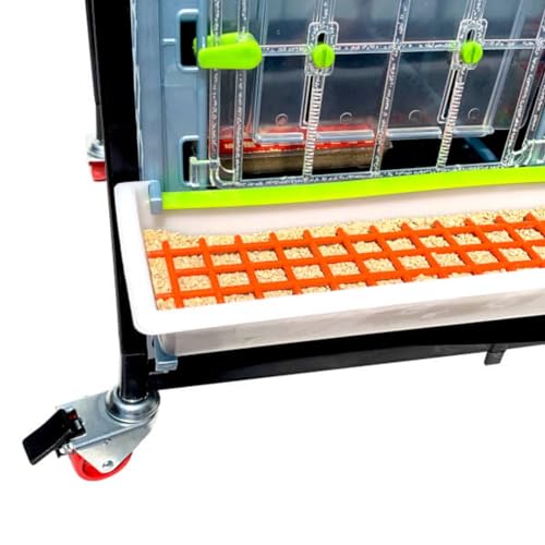 Hatching Time 15" Chick Brooders – Stackable & 2-Section Options, Automatic Heating, Easy-Clean Tray, Includes Feeders & Drinkers, Perfect for Quail, Chickens, Ducks & Baby Birds (2 Layer) - style: 3 Section, 2 Layer
