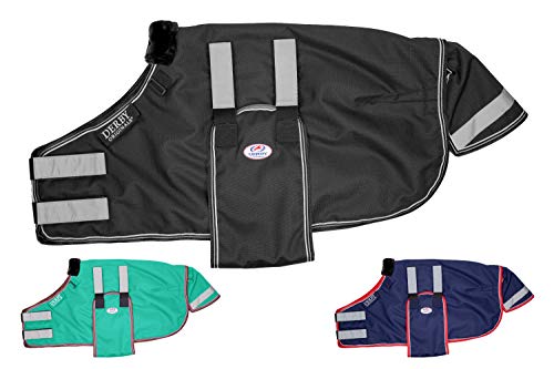 Derby Originals Reflective Safety No Hardware Winter Turnout Blanket for Foals & Mini Horses – 1200D Waterproof Ripstop, 150g Insulation, Triple Layer Breathable 210T Lining, 2 Year Warranty - color: Black, size: Medium (36-42")