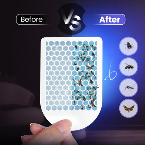 LiBa Fly Trap Refill Glue Cards 3 Pack, Replacement for Indoor Bug Catcher