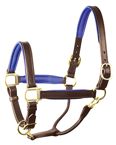 Perri's Horse Soft Padded Leather Halter - color: Havana/Blue