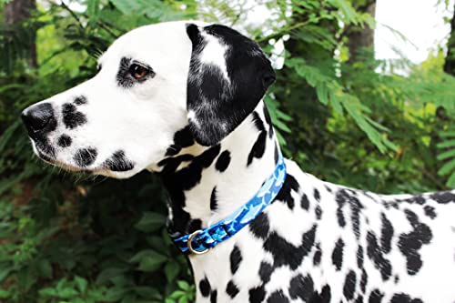 Limeloot Sharks Dog Collar, Summer Themed Dog Collar for Male and Female Dogs, Small - color: Sharks, size: Small