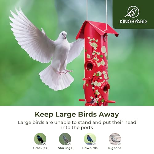 Kingsyard Metal Bird Feeders for Outdoors Hanging, Tube Bird Feeder - color: Red