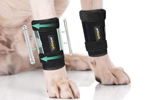 Dog Brace Front Leg Wrist Support, Canine Dog Carpal Brace Splint, Prevents Injuries and Sprains, Protects Carpus Joint Wounds Heals, Helps with Loss of Stability Caused by Arthritis - size: L/XL (Pair)
